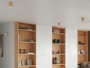 Miniatura 4 - Rohový pohled na regály a zlatá stropní svítidla