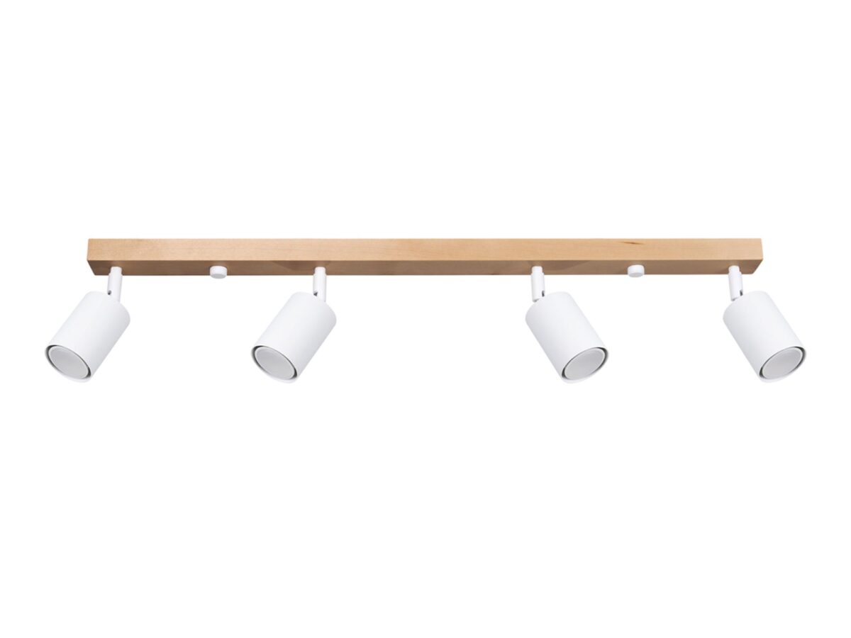 Loftové stropní svítidlo 96 cm 80x5x3 cm CLARIS 4